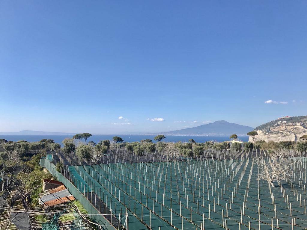 Villa Lina Sant'Agnello Esterno foto